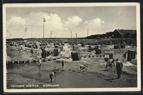AK Müritz, Strandleben mit Kindern