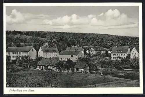 AK Liebenburg am Harz, Totalansicht