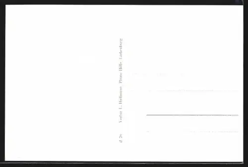 AK Liebenburg am Harz, Totalansicht