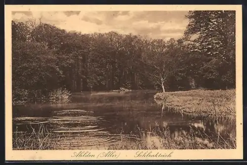 AK Ahlden /Aller, Ansicht Schlenkteich