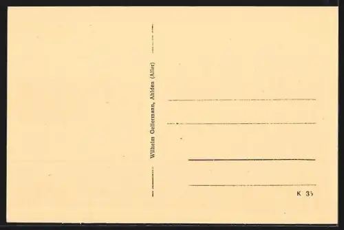 AK Ahlden /Aller, Ansicht Schlenkteich