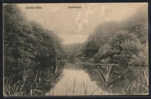AK Ahlden-Aller, Gesamtansicht Schlenkteich