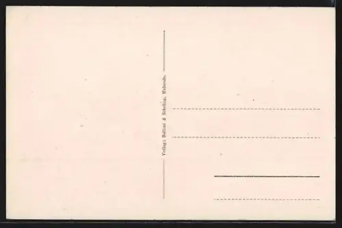 AK Ahlden, Blick auf das Schloss