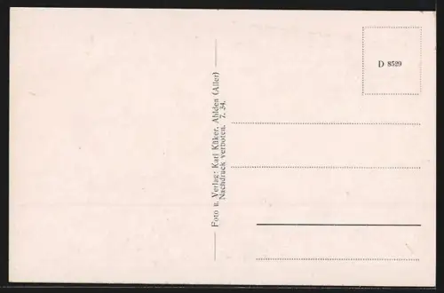 AK Ahlden / Aller, Blick auf das Schloss