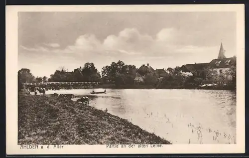 AK Ahlden, Partie an der alten Leine