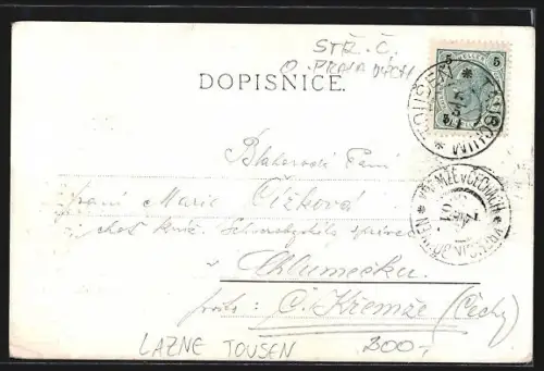 AK Tousen, Slatinné a zelezite lázne Jan Kralik, Gebäudeansichten