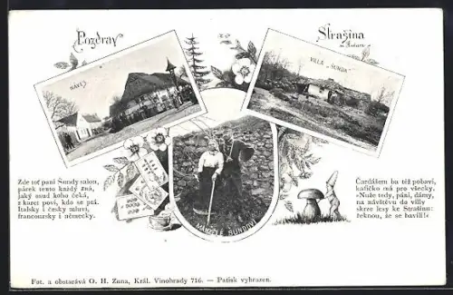 AK Ricany-Strasin, Náves, Villa Sunda