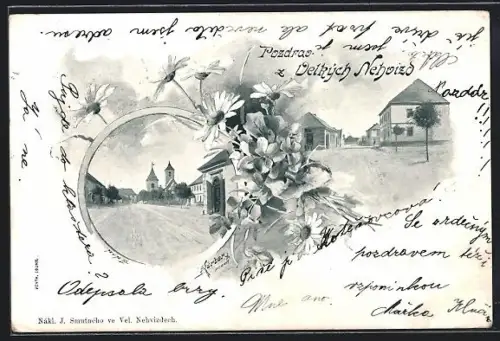 AK Stara Boleslav, Panorama