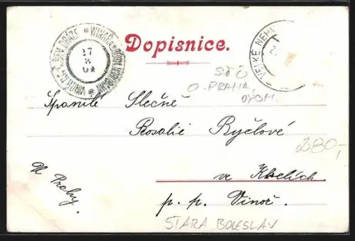 AK Stara Boleslav, Panorama