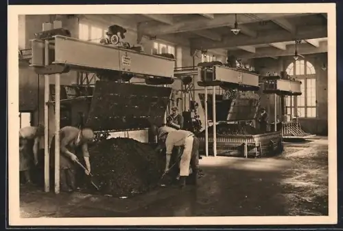 AK Reims, Champagne Louis Roederer, Le Pressurage dans la cave