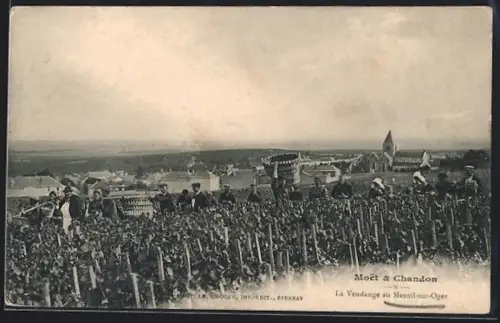AK Mesnil-sur-Oger, La Vendange dans les vignes de Moët & Chandon