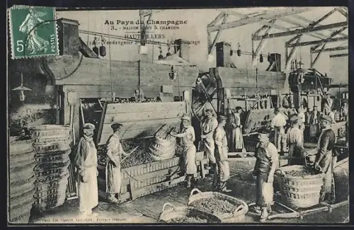 AK Hautvillers, Vendangeoir de la Maison Moët & Chandon en activité