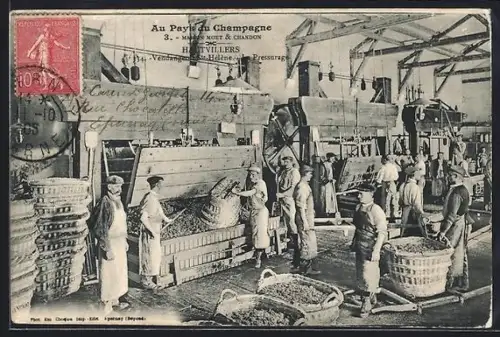 AK Hautvillers, Vendange et pressurage chez Moët & Chandon