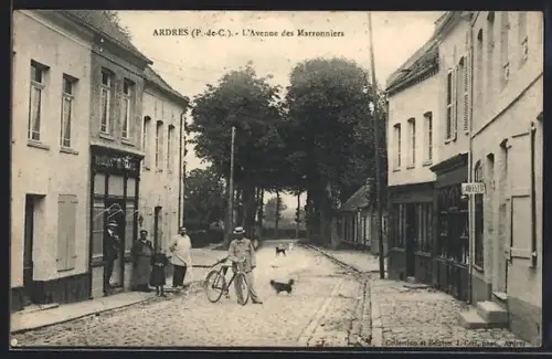 AK Ardres /P.-de-C., L`Avenue des Marronniers