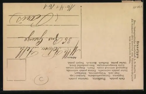 Foto-AK NPG Nr. 455/12: Damen in Badeanzügen im Meer