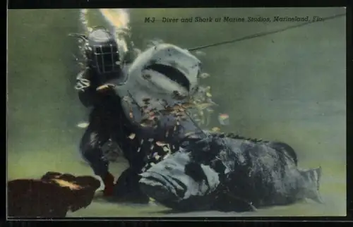 AK Marineland, FL, Diver and Shark at Marine Studios