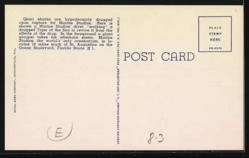 AK Marineland, FL, Diver and Shark at Marine Studios