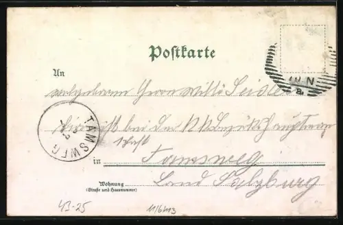 Lithographie Graz, Sängerfest, Mit Uhrturm, Sängerhalle, Kaiserhof und Stadttheater und Deutscher Flagge