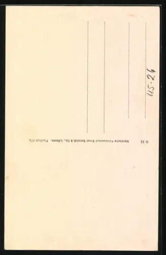 AK Eisenkönig Walto, Portrait