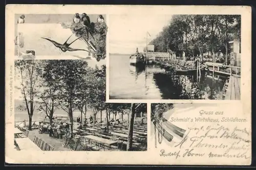 AK Berlin-Grunewald, Schildhorn, Schmidt`s Gasthaus, Schiffsanleger