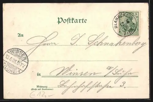 Lithographie Blankenese bei Hamburg, Gasthof Süllberg, Dampfschiff, Segelschiff