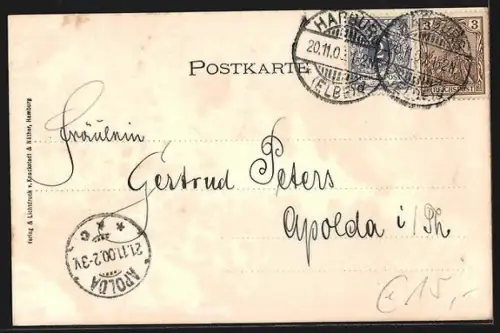 Lithographie Hamburg-Harburg, Rathaus, Neue Elbbrücke, Das alte Schloss, Post