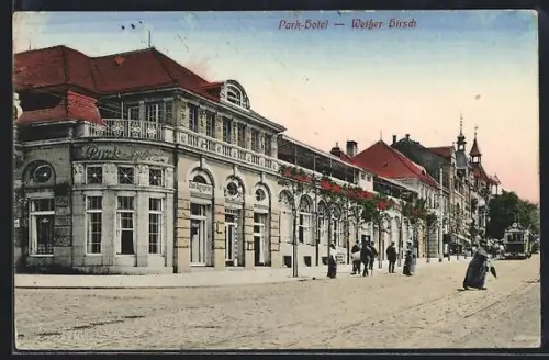 AK Dresden-Weisser Hirsch, Partie am Park-Hotel, Strassenbahn