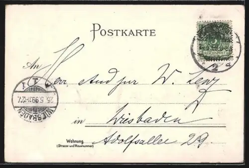 Lithographie Braunschweig, Theater, Monument der Herzöge, Löwensäule auf dem Burgplatz