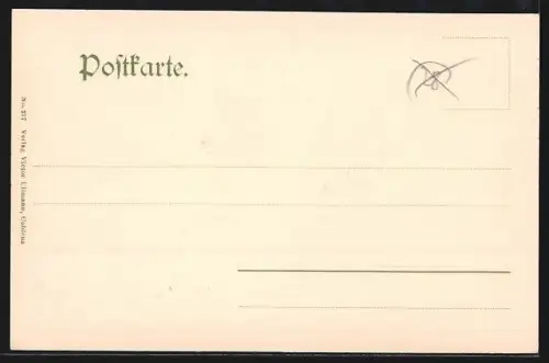 AK Coblenz, Coblenz u. Pfaffendorf, Ansicht vom Rittersturz