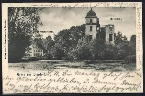 AK Dierdorf, Oberförsterei und Schlossruine, Panorama