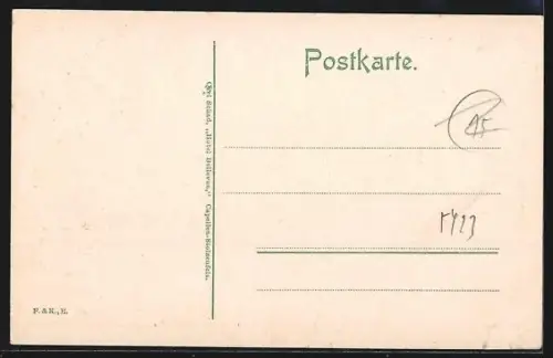 AK Braubach a. Rh., Totalansicht mit Rheinblick aus der Vogelschau