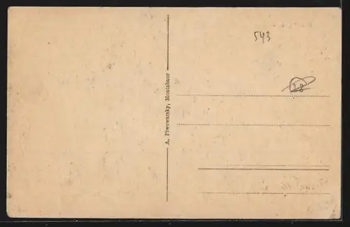 AK Montabaur, Ortspanorama mit Turm aus der Vogelschau