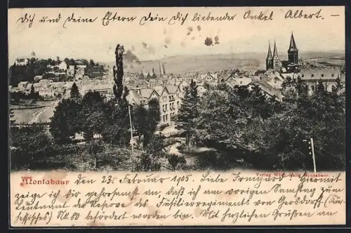 AK Montabaur, Ortspanorama aus der Vogelschau