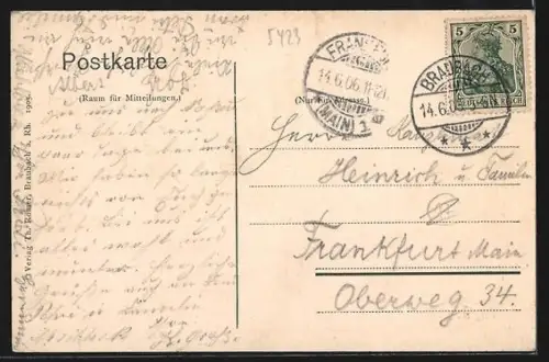 AK Braubach /Rh., Totalansicht mit Rheinblick