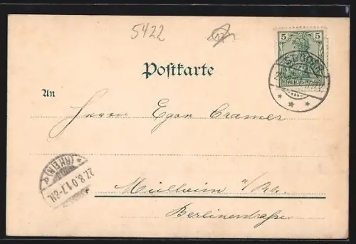 AK St. Goar, Ortsansicht mit St. Goarshausen u. Burg Katz aus der Vogelschau