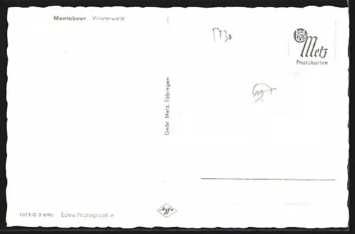 AK Montabaur /Westerwald, Gesamtansicht von einer Weide aus