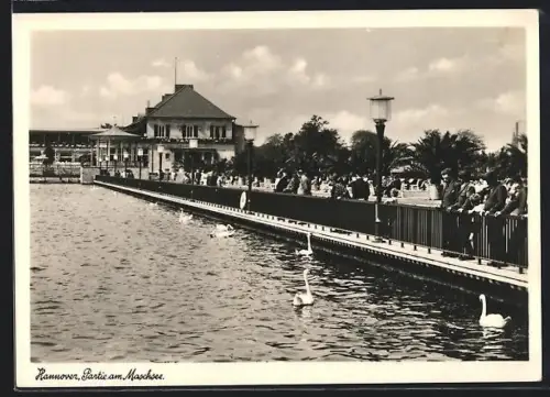 AK Hannover, Partie am Maschsee mit Schwänen