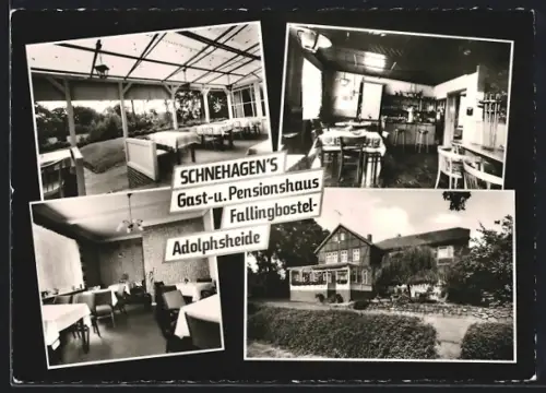 AK Fallingbostel-Adolphsheide, Gast- und Penionshaus Schnehagen, Inh. Heinrich Schnehagen, Innen- und Aussenansichten