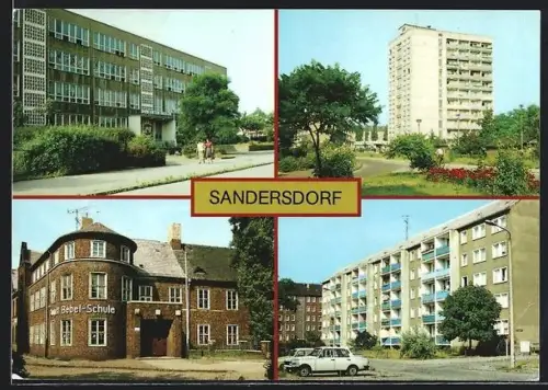 AK Sandersdorf / Sachs.-Anh., Artur-Becker-Oberschule, Ring der Chemiearbeiter