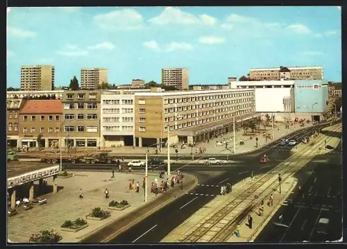 AK Dessau, Blick auf die Wilhelm-Pieck-Strasse