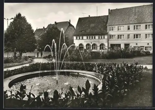 AK Bad Frankenhausen /Kyffh., Anger mit Springbrunnen