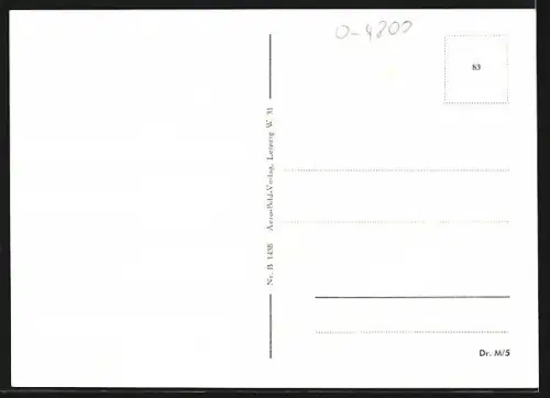 AK Naumburg / Saale, Gebäudeaufnahme, Fliegeraufnahme