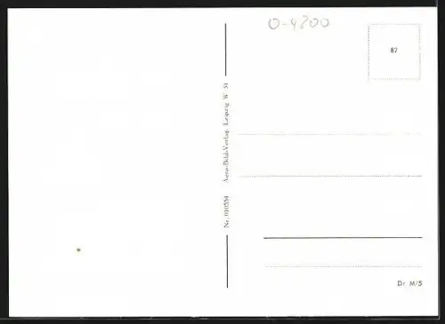 AK Naumburg a. d. Saale, Brunnen mit Passanten