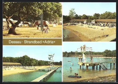 AK Dessau, Zeltplatz, Strandbad Adria, Aussenansichten