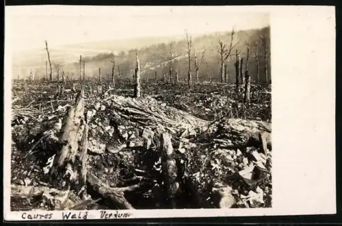 AK Bois des Caures /Verdun, Zerschossener Wald 1916