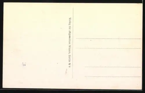 AK Montmédy, Rue principale animée avec passants et bâtiments historiques
