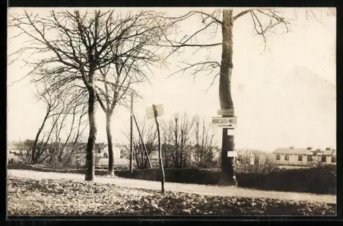 AK Vigneulles, Route bordée d`arbres et maisons en arrière-plan