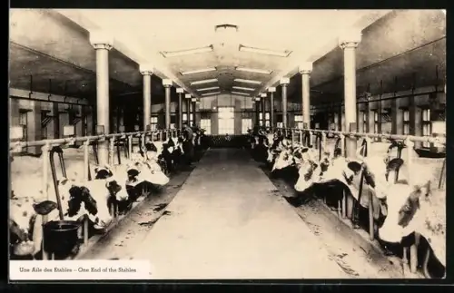AK Une Aile des Etables