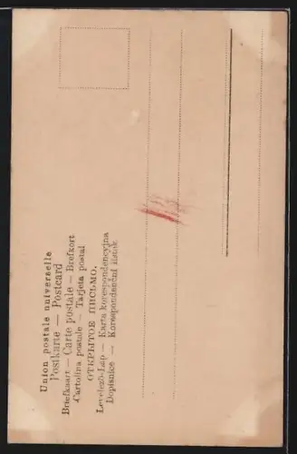 AK Opernsängerin Cavalieri im eleganten Abendkleid