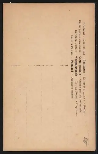 Foto-AK GG Co. Nr. 2494: Fromme Schöne mit langem Flechtzopf